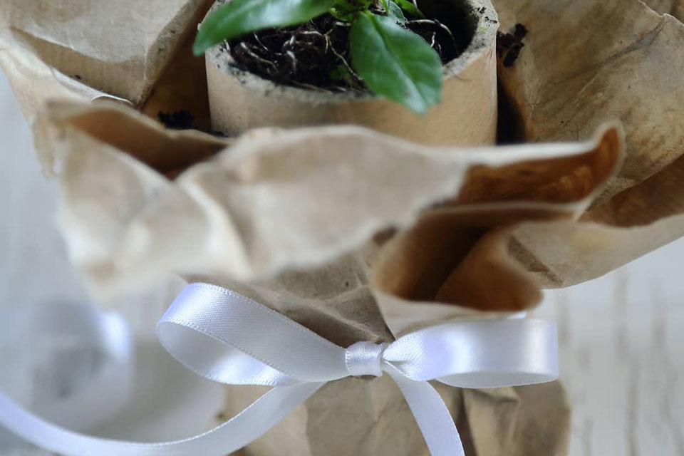 Curled organza ribbon styling event and party decor